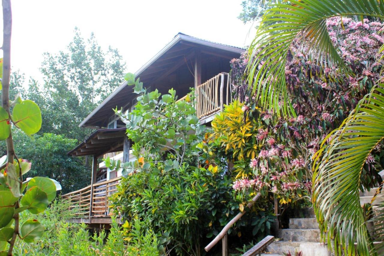Clave Verde Ecolodge Las Terrenas Luaran gambar