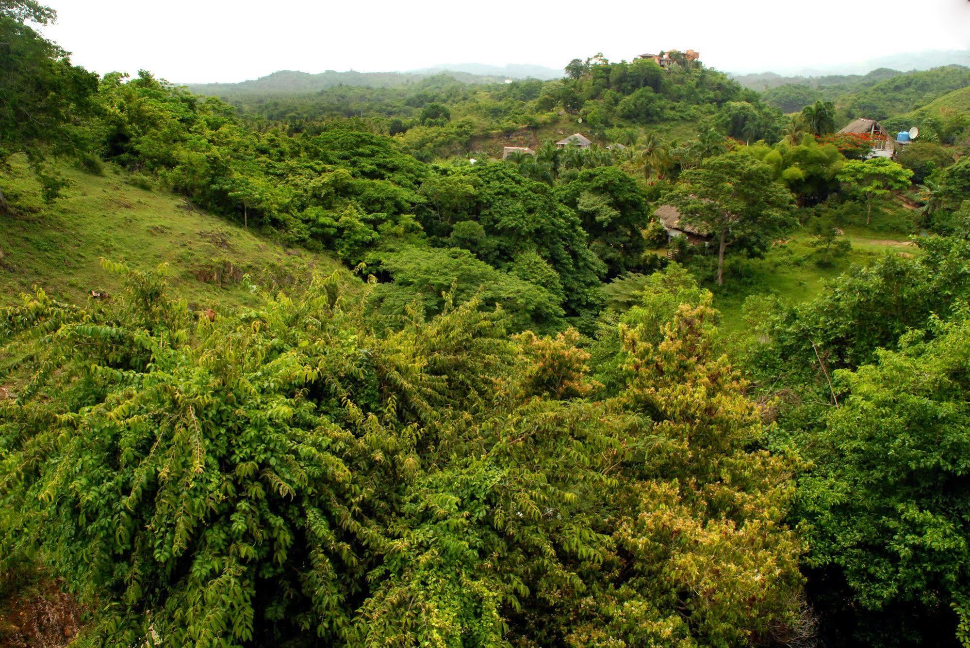 Clave Verde Ecolodge Las Terrenas Luaran gambar