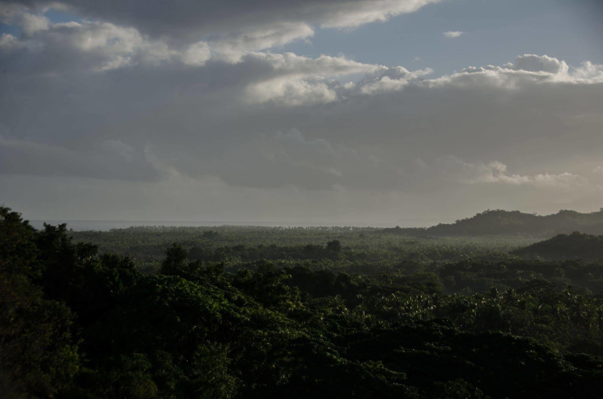 Clave Verde Ecolodge Las Terrenas Luaran gambar